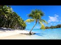 Palm Tree, Tropical Beach, Sea Sounds | Motu Tane Island, Bora Bora, French Polynesia 🇵🇫 | 4K Travel