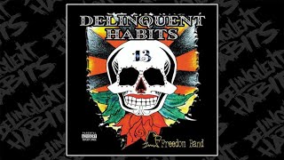 Delinquent Habits - Freedom Band