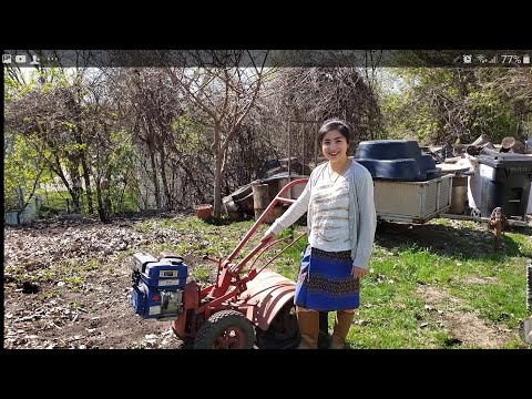 Video: DIY Khoom Plig Rau Gardeners - Lub Neej cog hniav nyiaj hniav kub tswv yim thiab cov lus qhia