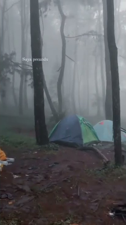story wa pendaki gunung