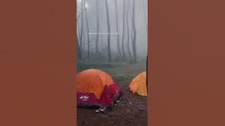 story wa pendaki gunung