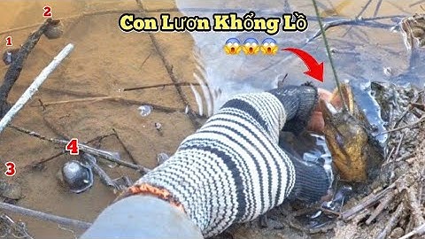 Câu lươn khủng và cái kết_tập1012//Giant eel fishing