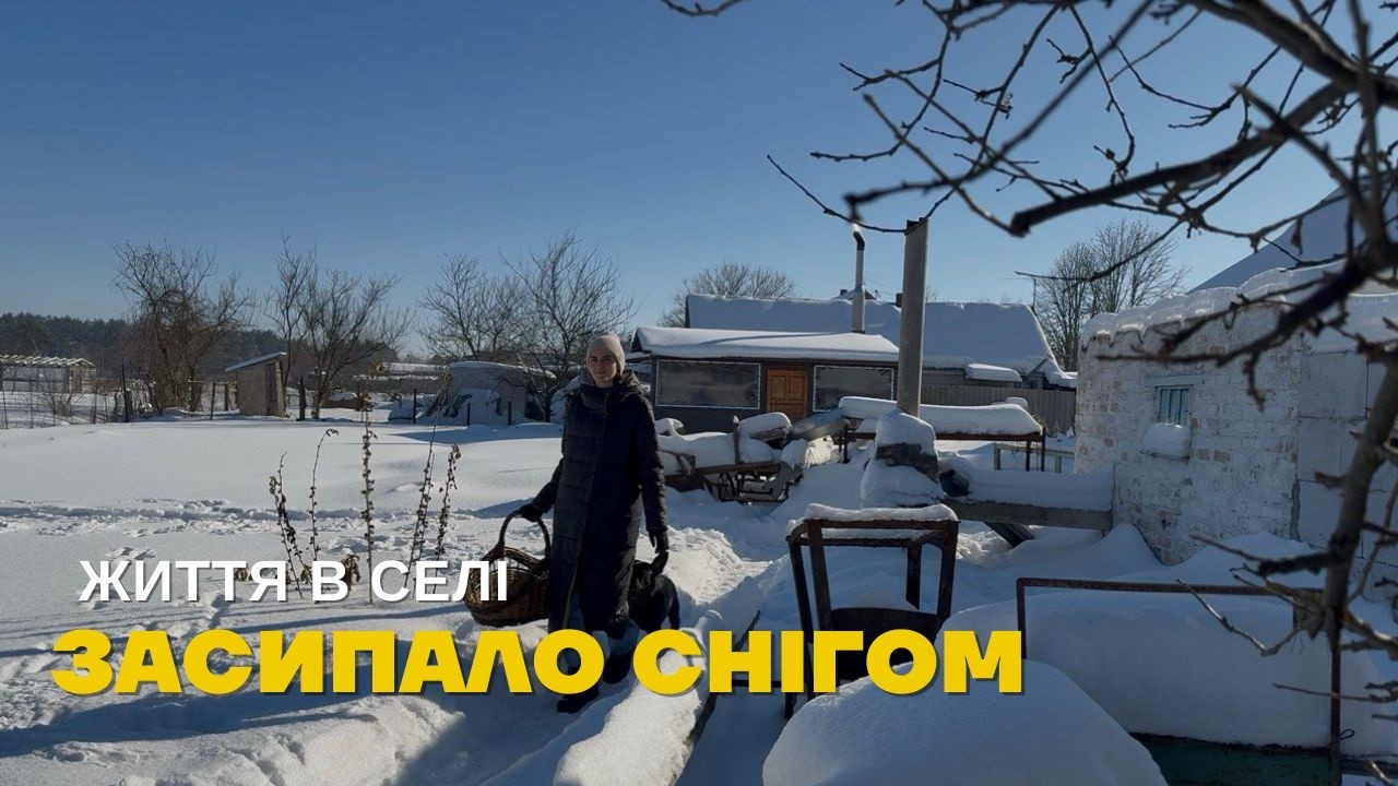 Життя в селі. Сурова зима. Чищу сніг, ношу дрова для пічки, готую сирники. У нас гості. День зі мною