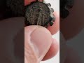 #монеты #монета #coin #coins #shorts #short Селевкиды 1 век до нашей эры 💥🤫👍