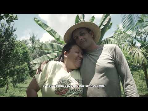 Restoration is also production: Farming families transform fields into Amazonian regeneration