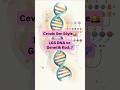 Cevabını yorumlara yaz✨️ LGS & DNA