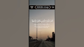 #اكسبلور #تلاوة_خاشعة #حالة_وتساب #قرآن_كريم_أرح_قلبك_وسمعك #لايك #حالات_واتس #راحة_نفسية