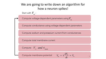 4: Hodgkin-Huxley Model Part 1 - Intro to Neural Computation