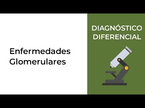 Vídeo: Glomerulonefritis C3 Activa Severa Desencadenada Por Complejos Inmunes E Inactivada Después De La Terapia Con Eculizumab