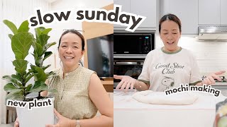 WEEKEND VLOG! MAKING MOCHI, GETTING NEW PLANTS, SUNDAY INSPIRATIONS | MOMMY HAIDEE VLOGS