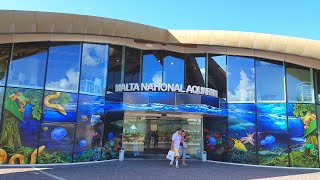 Malta National Aquarium, Qawra, St. Paul's Bay - Tour Highlights ??