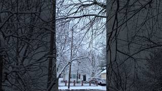 Así es una amaneser en el área de Chicago ❄️