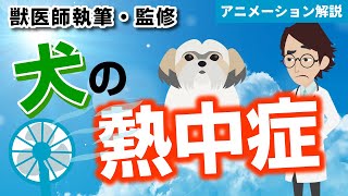 犬の熱中症について【獣医師執筆監修】症状から治療方法