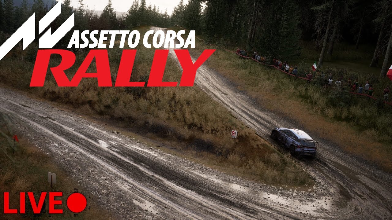 [PL][EN][60fps][AC][Rally] Test nowego Assetto! Czy to jest coś warte w ...