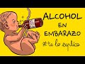 Por qu es malo beber alcohol durante el embarazo  teloexplico