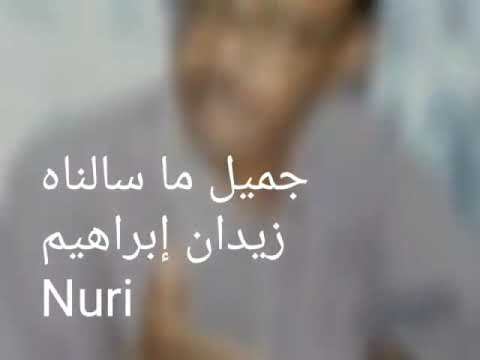 الاستاذ زيدان إبراهيم جميل ما سالناه