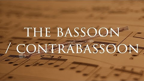 Instrument Series: The Bassoon  & Contrabassoon