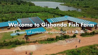 Gishanda Fish Farm | A vision of sustainability