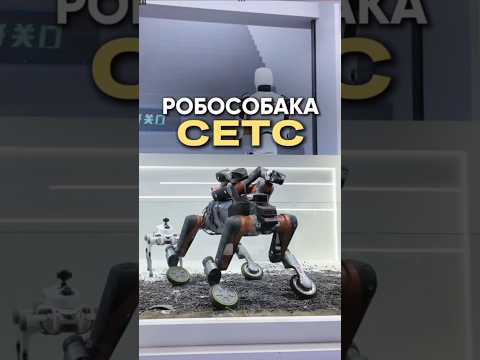 Уникальная конструкция робота CETC  включает две руки-манипулятора и поворотные колеса на ногах.