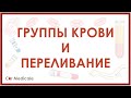 Группы крови и переливание: системы АВ0, резус, гемолитическая реакция - кратко