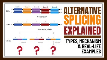 Alternative Splicing: Types, Mechanism & Real Life Examples in Molecular Biology & Biochemistry