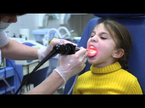 Видео: Обструктивная болезнь уха у песчанок