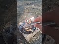 Bakar Belut pagi pagi Part 29 #ricaricabelut