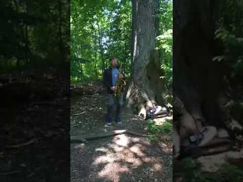 Chris Potter Plays "Joy Spring" in a Forest