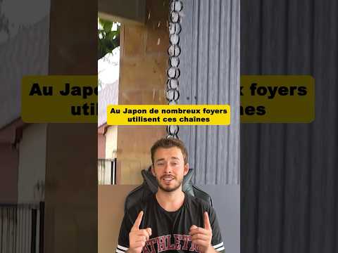 Au Japon de nombreux foyers utilisent ces chaînes 😳