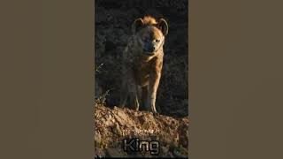 annatha bgm WhatsApp 🔥 status 💯