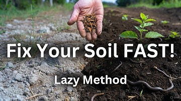 Fix Your Soil NOW, the Lazy Way 5 Easy Steps
