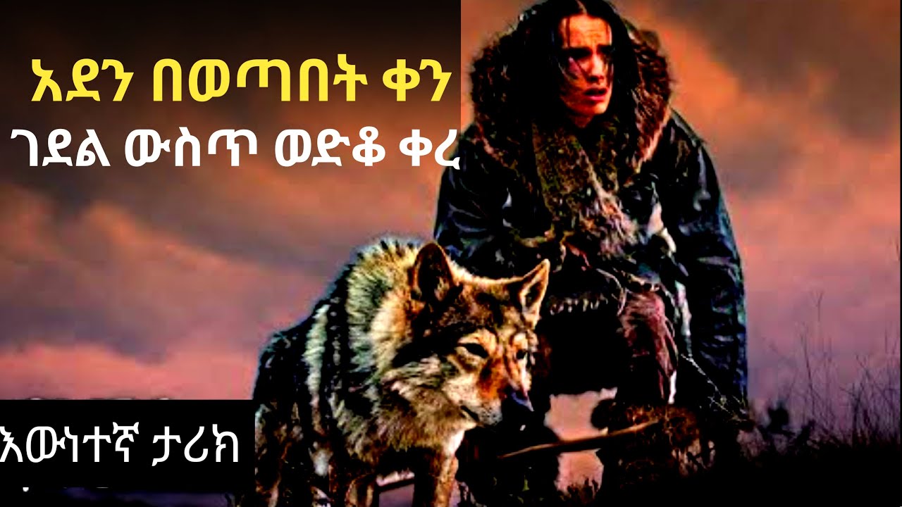 አደን ብሎ ወጥቶ ገደል ውስጥ ሲወድቅ ያልጠበቀውን ነገር ያገኛል #ፊልመኛ #filmegna