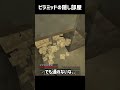 ピラミッドの隠し部屋がやばすぎた..🤯#shorts #いとらい #minecraft