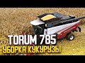 TORUM 785. Уборка кукурузы. Урожай 2021