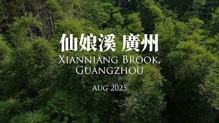 仙娘溪 廣州 Xianniang Brook, Guangzhou Aug 2025 Dji Drone 大疆航拍