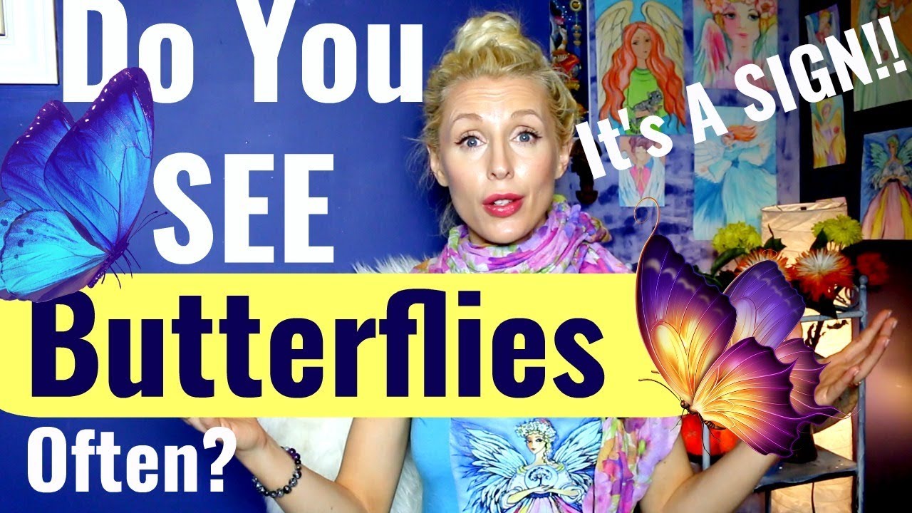 WHY You SEE BUTTERFLIES Spiritual MEANING And SIGNS YouTube WHY You SEE BUTTERFLIES Spiritual MEANING And SIGNS YouTube
