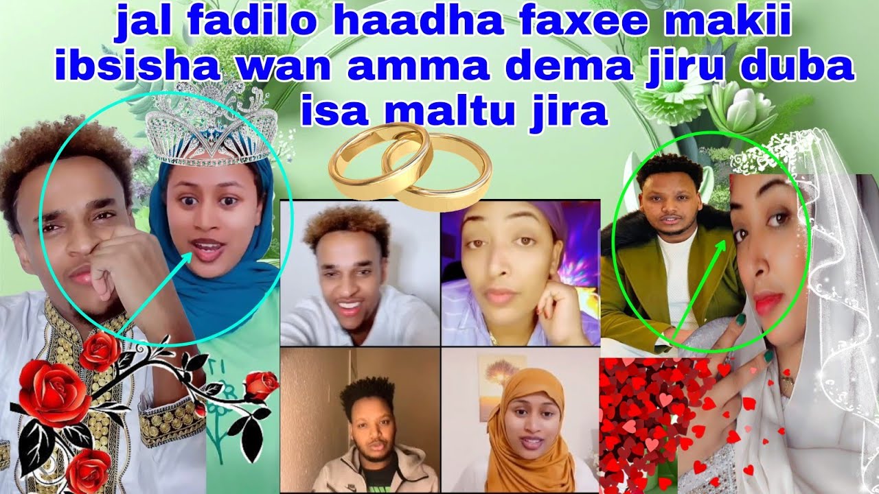 ibsisha makii jal fadilo haadha faxee wan amma dema jiru irrati walin mari geggeessa jiru yada gari