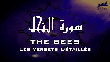 Beautiful VISUAL Surah An Nahl Quran + TRANSLATION سورة النحل عمر هشام العرب