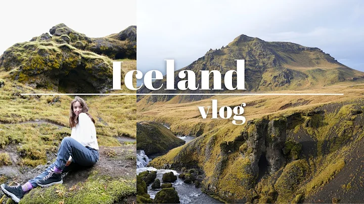 Iceland Travel Diary 2022 | waterfalls, glaciers, and... books