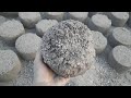 New shape Stoney texture soft crunchy gritty crumbling on floor + water+ pouring 👌 Rate this video😃