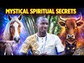 Hidden Spiritual Secrets of Horses,Cows &amp; Other Animals Revealed! What They Symbolize Will SHOCK You