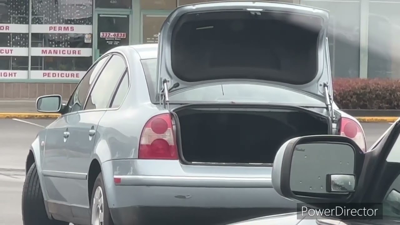 DAILY HAIKU 01/22/23 Divorced parents hand off a child. A one-legged gull hops by, unfazed.