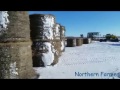 FROZEN HAY BALES!!!! FROZEN HAY BALES!!!!