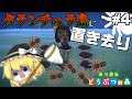 タランチュラ島に魔理沙を放る！【ゆっくり実況】あつまれどうぶつの森＃4