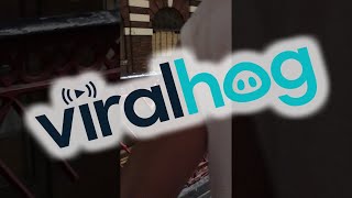 Attack on London Bridge Part 1: Police Evacuate Market || ViralHog