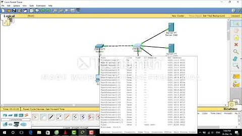 Hướng dẫn cấu hình WEB server, DNS , Mail server