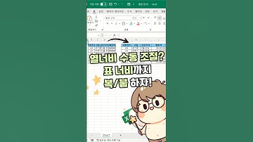 엑셀 표 너비 맞추기 1초만에 끝내는 법 | 직장인 필수 꿀팁