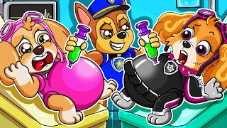 Oh No! Cute Baby SKYE \u0026 LIBERTY Are PREGNANT?! - Paw Patrol Ultimate Rescue | Rainbow Friends 3
