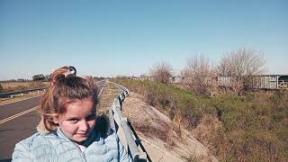 tren en parera entre ríos