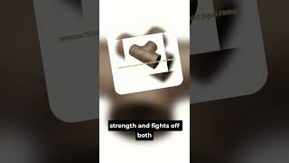 CuNi 70/30 Equal Tee – High-Strength Marine Branch Connection